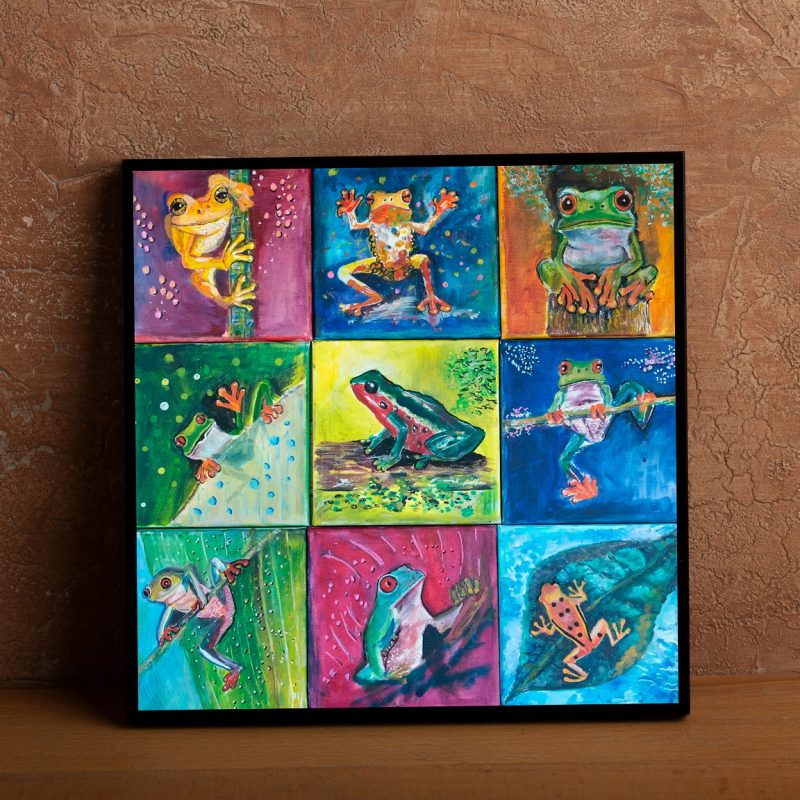 Nine lives, One Pond - Image 4