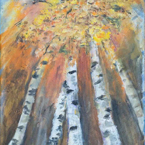 Birch trees (1)
