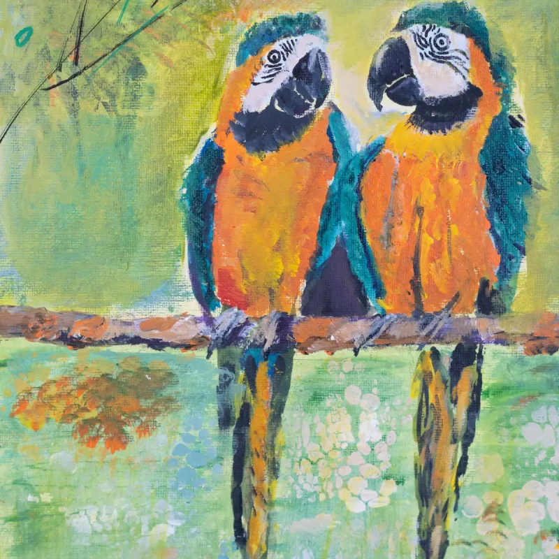 The Color of Companionship