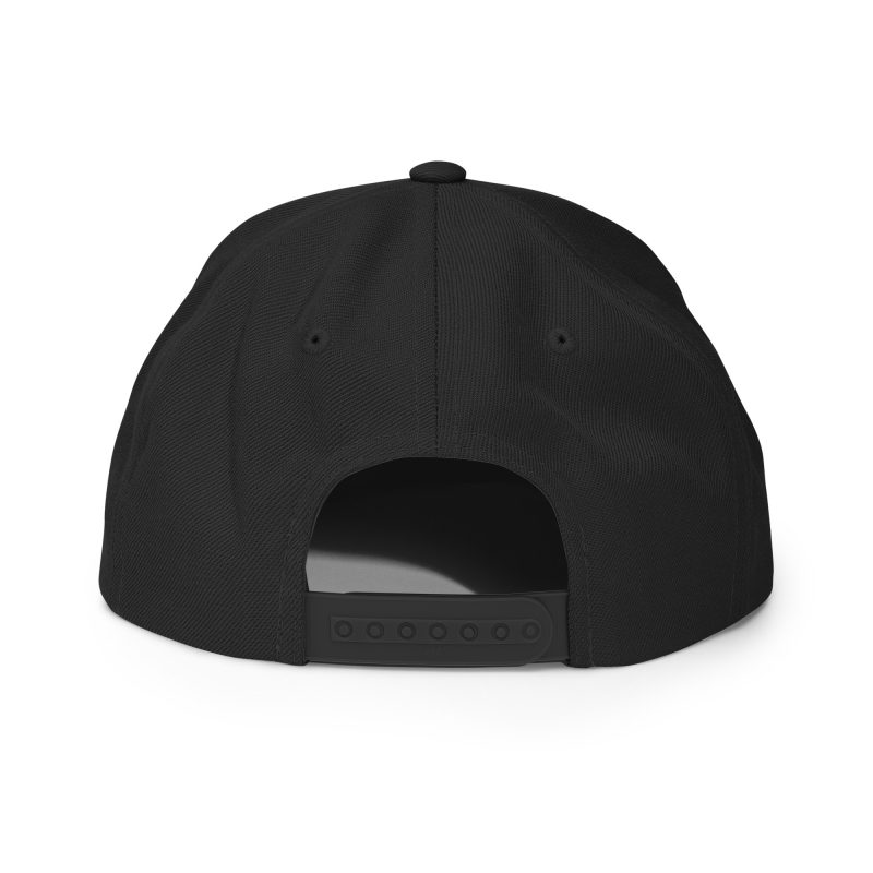 Snapback Hat - Image 13