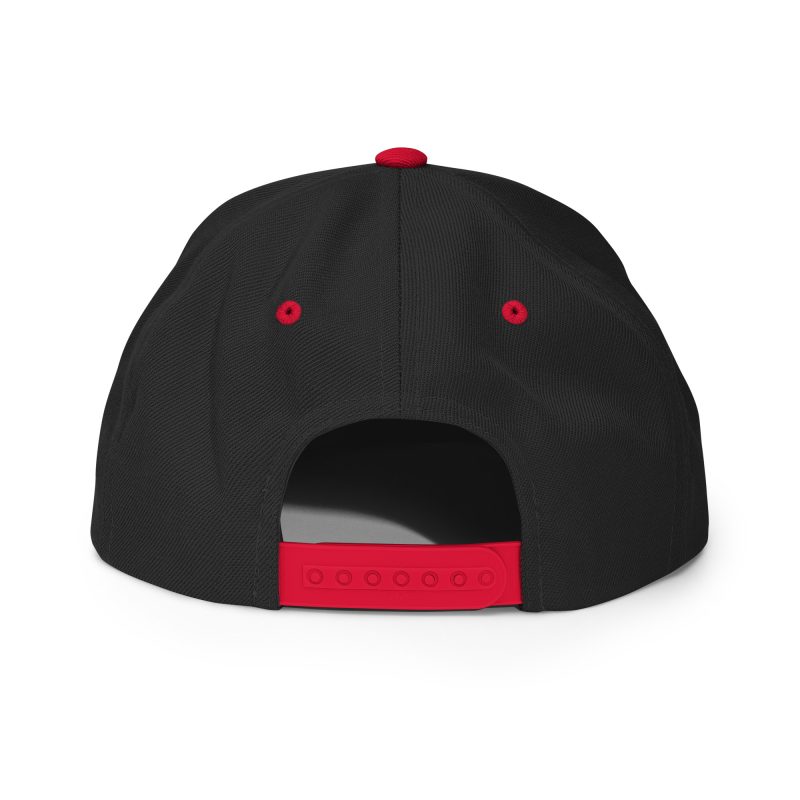 Snapback Hat - Image 14