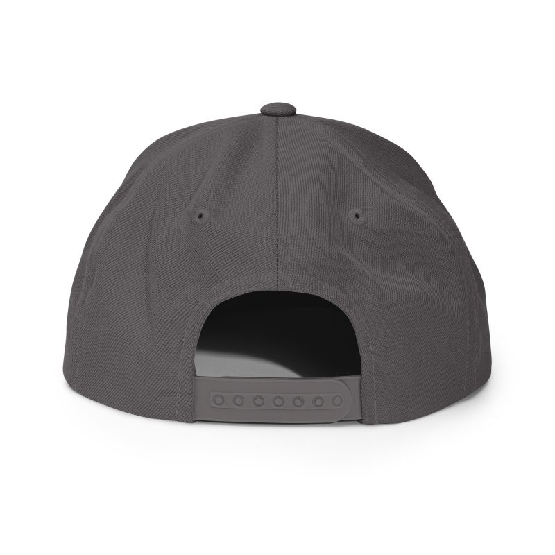 Snapback Hat - Image 19